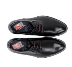 APOLO 8551 Zapato Negro