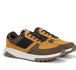 ARION F2013 Deportivo Amarillo