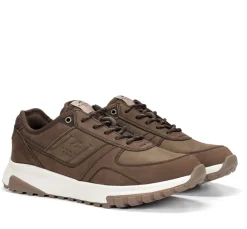 ARION F2013 Deportivo Marrón