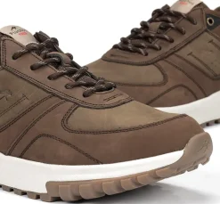 ARION F2013 Deportivo Marrón