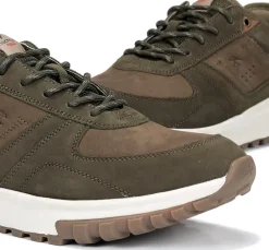 ARION F2013 Deportivo Verde