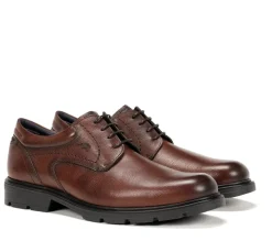 FREDY F1604 Zapato Marrón