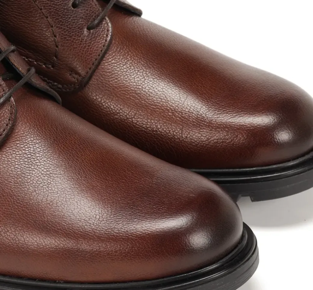 FREDY F1604 Zapato Marrón