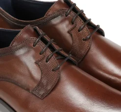 GOLEM 9952 Zapato Marrón