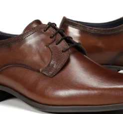 GOLEM 9952 Zapato Marrón