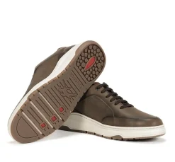 LOTUS F1616 Deportivo Marrón