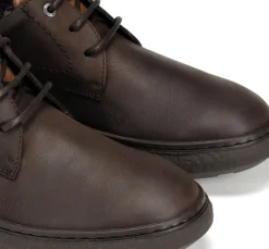 RAGNAR F1877 Zapato Marrón