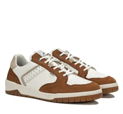 ROGER F1954 Deportivo Marrón