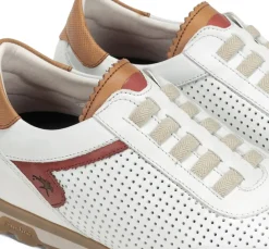 SANDER F1189 Deportivo Blanco