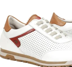 SANDER F1189 Deportivo Blanco