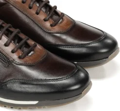 SANDER F1215 Deportivo Marrón