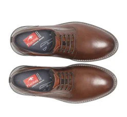 TERRY F1340 Zapato Marrón