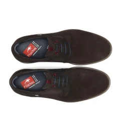 TRISTAN F1857 Zapato Marrón