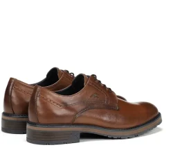 ULRICH F1867 Zapato Marrón