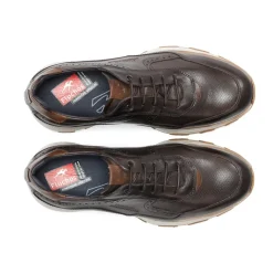 WALTER F2082 Deportivo Marrón