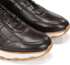 WALTER F2082 Deportivo Marrón