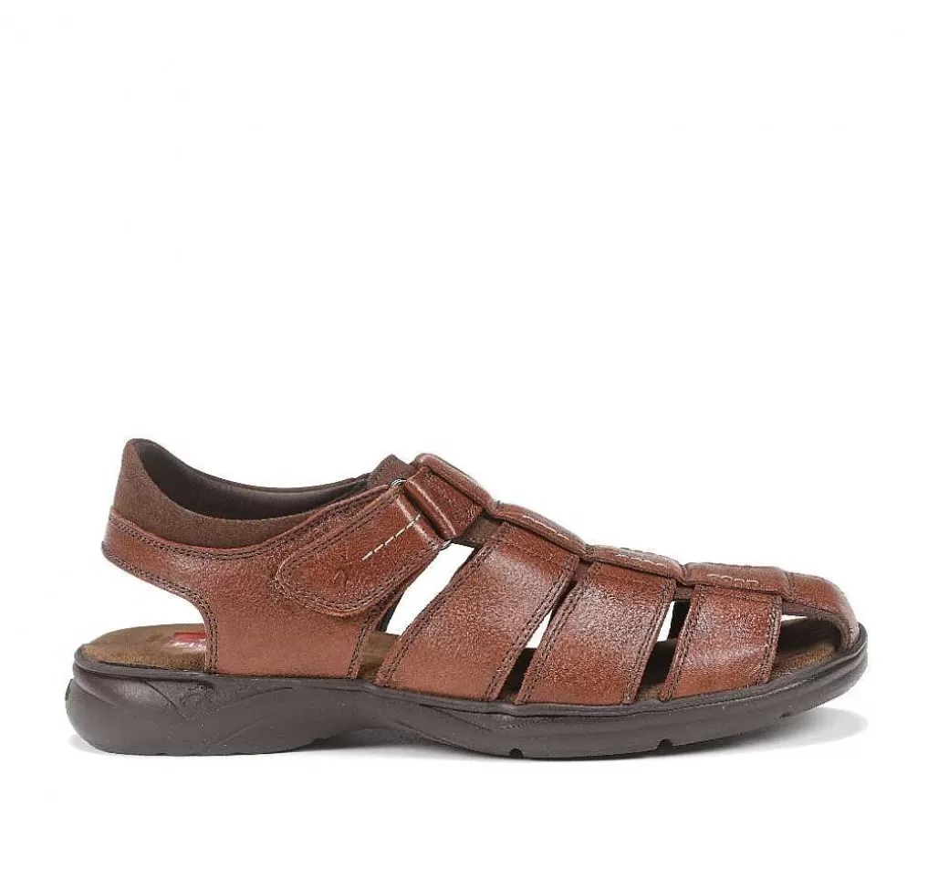 Fluchos Dozer F0533 Sandalia Marron^Hombre Sandalias