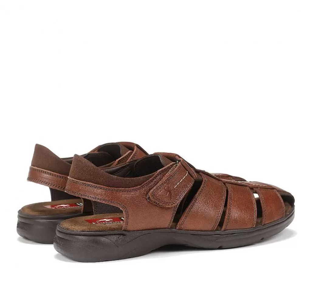 Fluchos Dozer F0533 Sandalia Marron^Hombre Sandalias