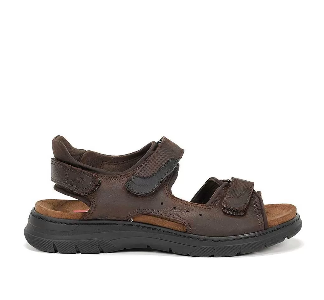 Fluchos Kairo F1773 Sandalia Marron^Hombre Sandalias