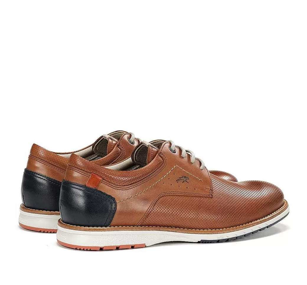 Fluchos Taylor F1982 Zapato Marron^Hombre Cordones